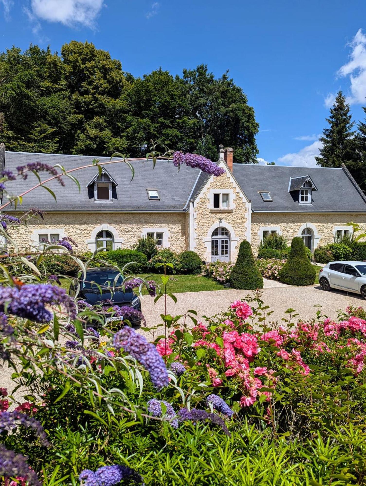 Chateau De La Menaudiere Chissay-en-Touraine Екстер'єр фото
